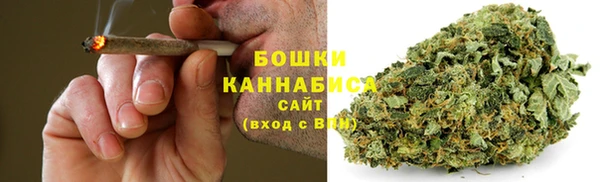 шишки Зеленодольск