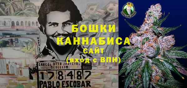 шишки Зеленодольск