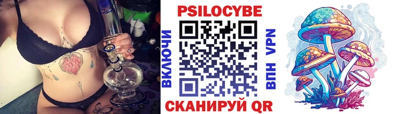 Купить  Пущино  Псилоцибиновые грибы Cubensis 